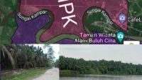 IMG 20250301 WA0029