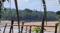 enam unit rakit PETI beroperasi di wilayah Desa Muaro Sentajo, Kecamatan Sentajo Raya, Kabupaten Kuantan Singingi, pada Sabtu (24/5/2028). Muaro sentajo
