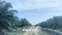 HitamPutih News Desain tanpa judul 20250803 134851 0000