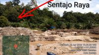 Aktivitas Penambangan Emas Tanpa Izin (PETI) di Desa Koto Sentajo Kecamatan Sentajo Raya, Kabupaten Kuantan Singingi yang nyaris masuk ke kawasan Hutan Lindung. IMG 20260413 WA00102