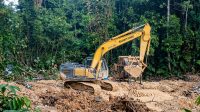 Alat berat jenis excavator merek Sumitomo diduga milik Ican pelaku PETI yang Menggila di Hutan Lindung Bukit Betabuh Alat berat jenis excavator merek Sumitomo diduga milik Ican pelaku PETI yang Menggila di Hutan Lindung Bukit Betabuh