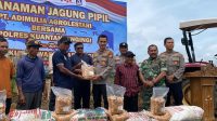 Kapolres Kuansing Salurkan Bibit Jagung Pipil, Dorong Ketahanan Pangan di Singingi Hilir Kapolres Kuansing Salurkan Bibit Jagung Pipil, Dorong Ketahanan Pangan di Singingi Hilir
